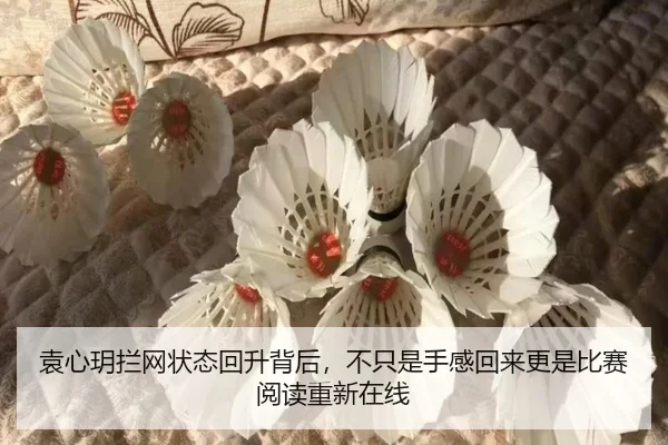袁心玥拦网状态回升背后，不只是手感回来更是比赛阅读重新在线 - kaiyun